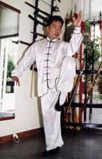 Xia Quan Tai Chi Kung Fu Nederland Rotterdam Sifu Kong Tai Chi